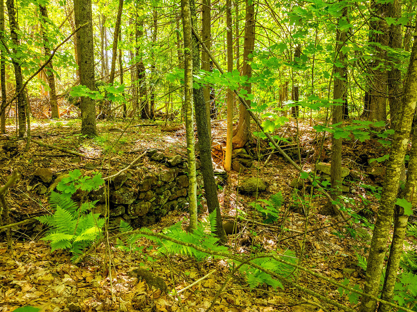 0 Narrows Road Lincolnville, ME 04849 - Photo 18 of 19 DJI_0714