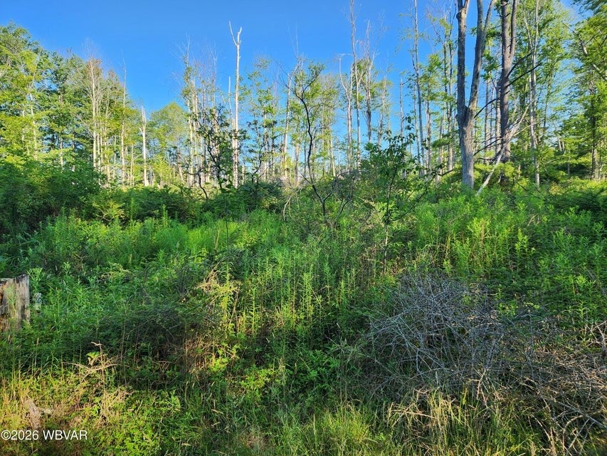 Lot #4 Rider Lane Muncy Valley, PA 17758 - Photo 3 of 6 Gallery Image 3