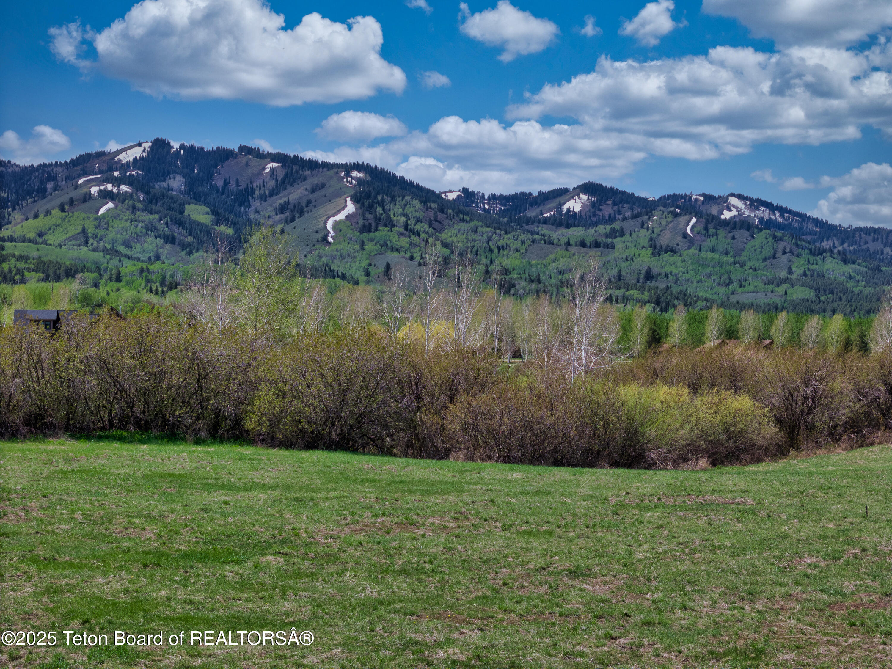 3260 Old Post Lane Victor, ID 83455 - Photo 5 of 36 View from back of site