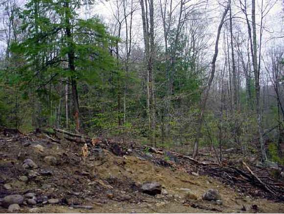 4 Cross Road Strafford, NH 03884 - Photo 1 of 1