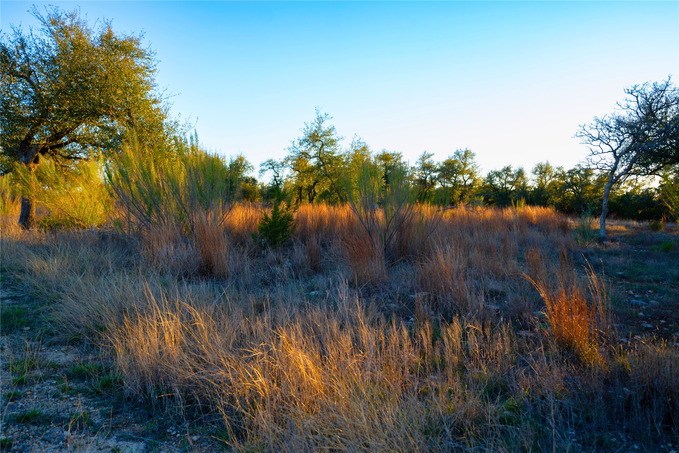 Lot 180 Lookout Mountain Road Johnson City, TX 78636 - Photo 15 of 29