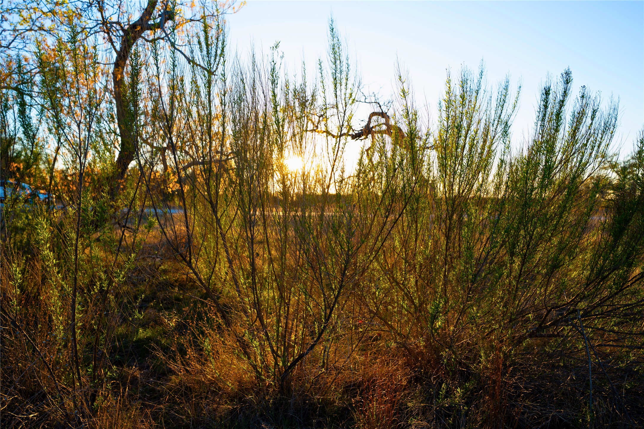 Lot 180 Lookout Mountain Road Johnson City, TX 78636 - Photo 22 of 29