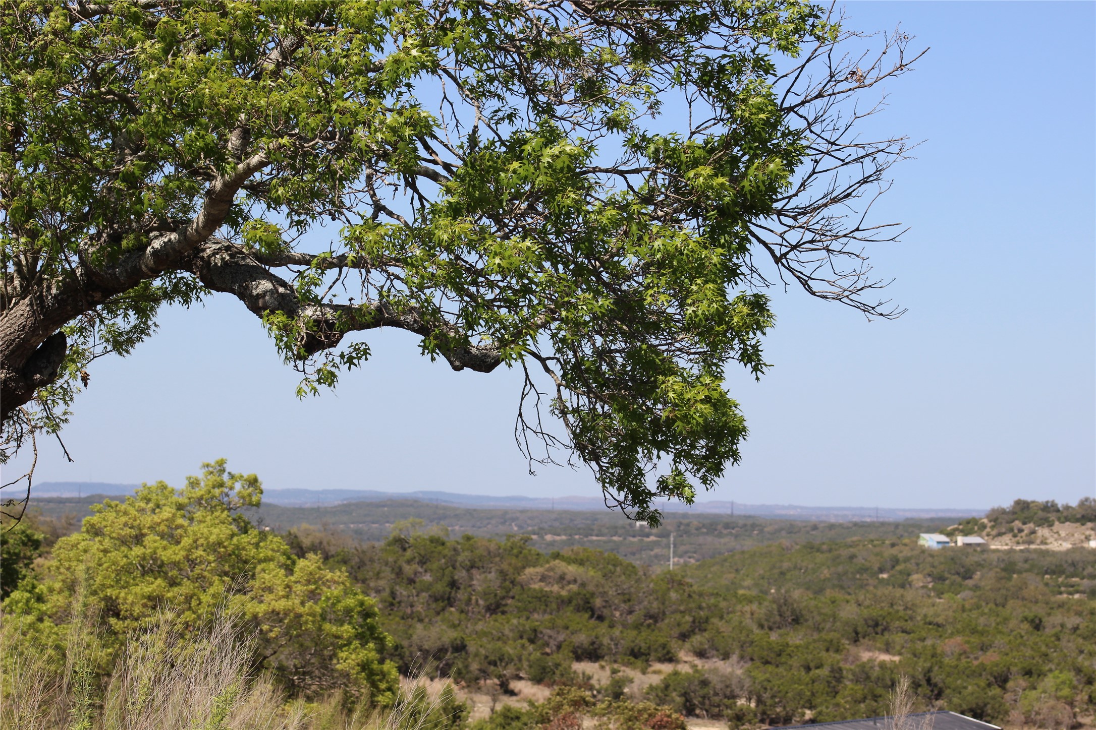 Lot 180 Lookout Mountain Road Johnson City, TX 78636 - Photo 25 of 29 a view of a garden