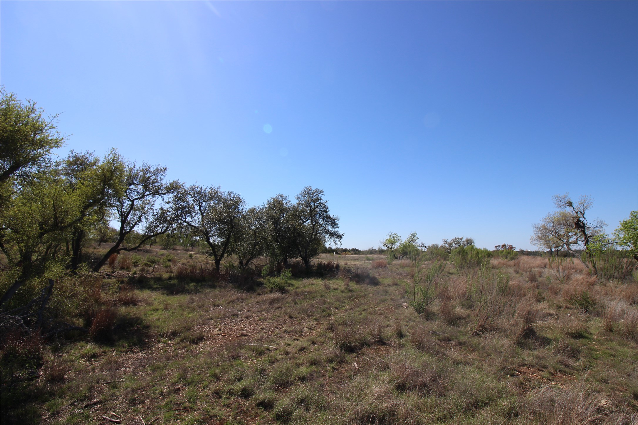 Lot 180 Lookout Mountain Road Johnson City, TX 78636 - Photo 28 of 29 a view of a dry yard with trees in the background
