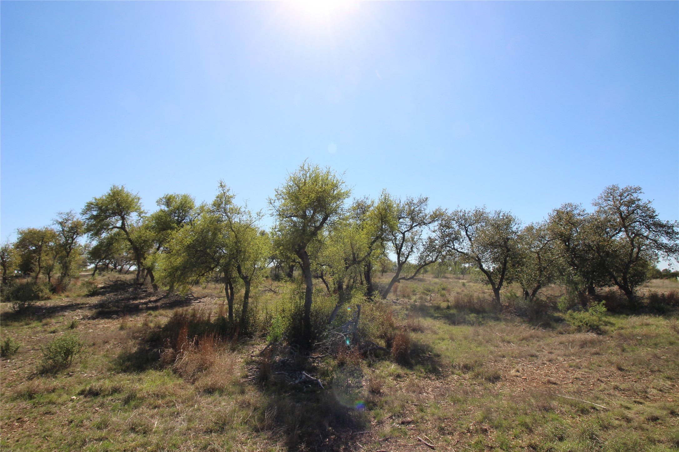 Lot 180 Lookout Mountain Road Johnson City, TX 78636 - Photo 29 of 29 a view of a lake with lots of trees