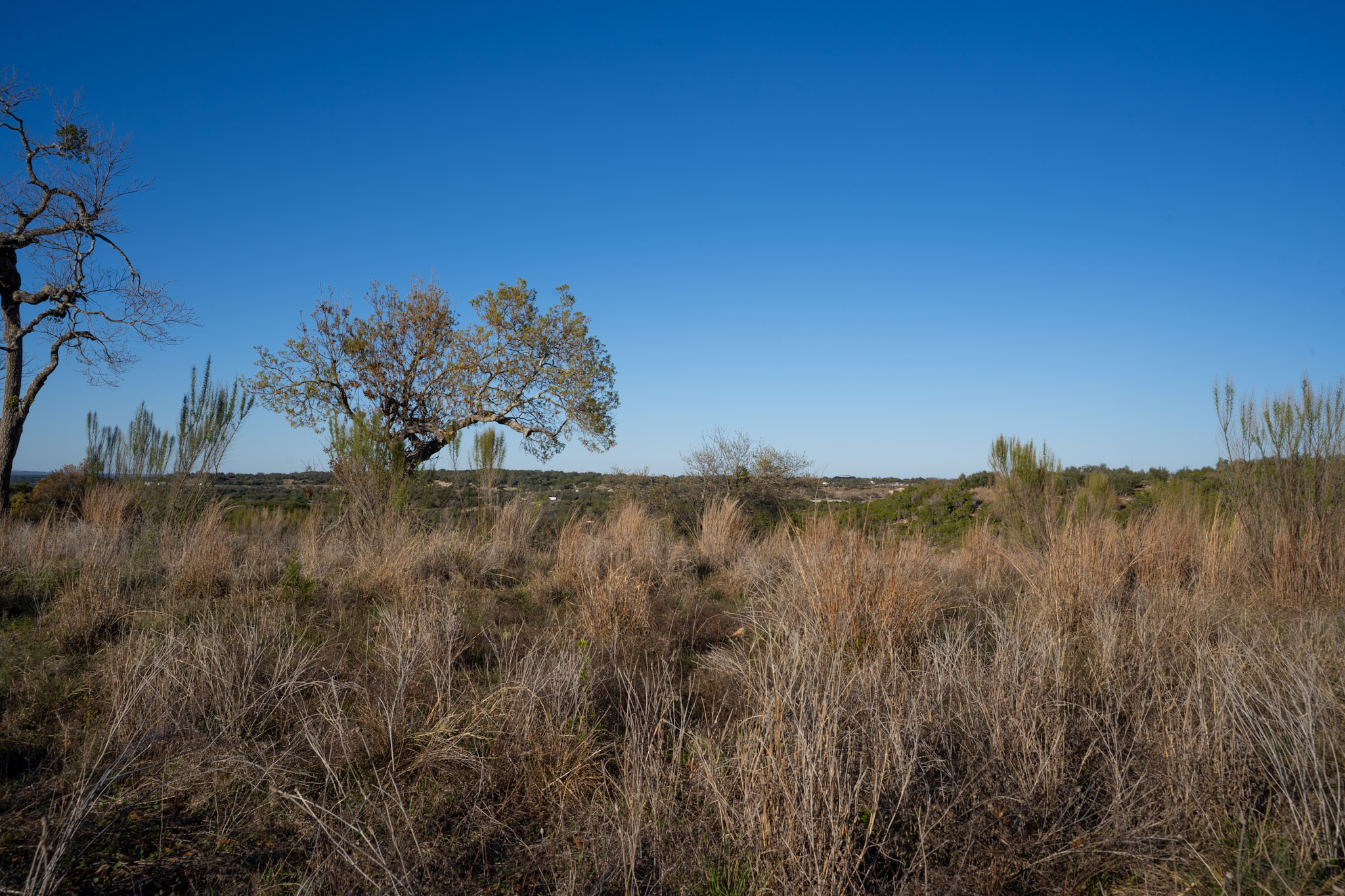 Lot 180 Lookout Mountain Road Johnson City, TX 78636 - Photo 3 of 29 a view of a lush green field