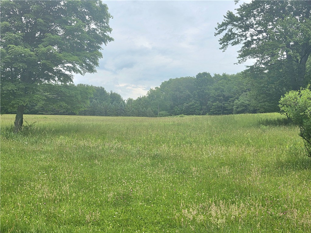 171 Haskins Road Erin, NY 14838 - Photo 7 of 9