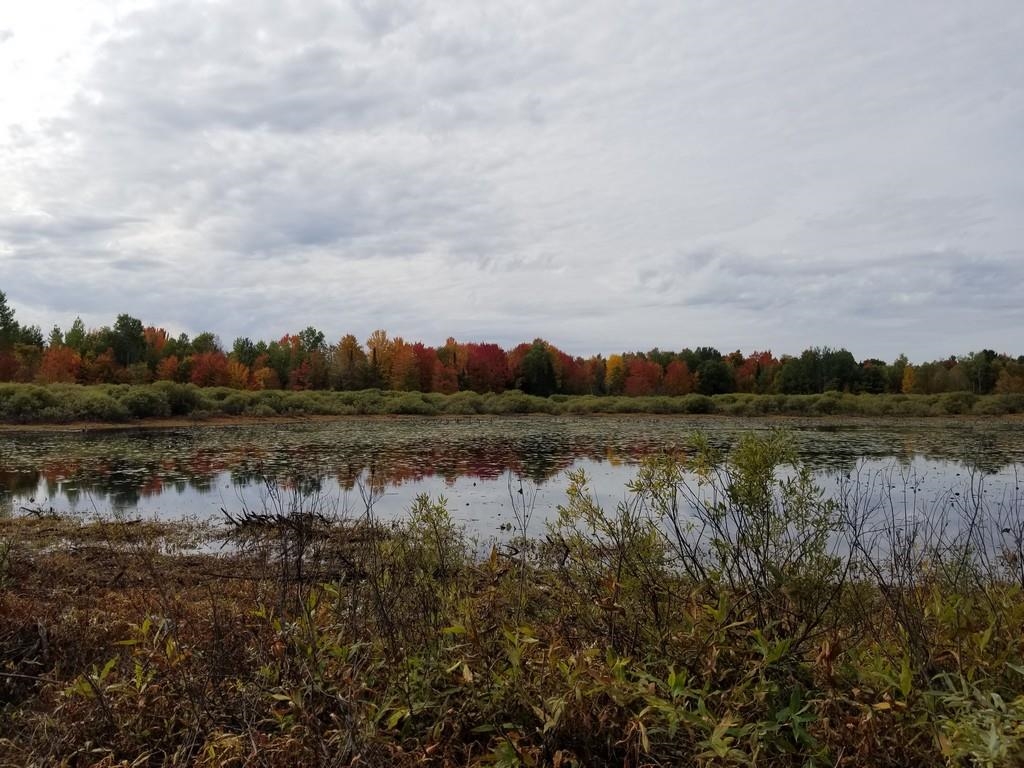 2089 Sigma Road Southeast Kalkaska, MI 49646 - Photo 3 of 57 1905734-2.JPG