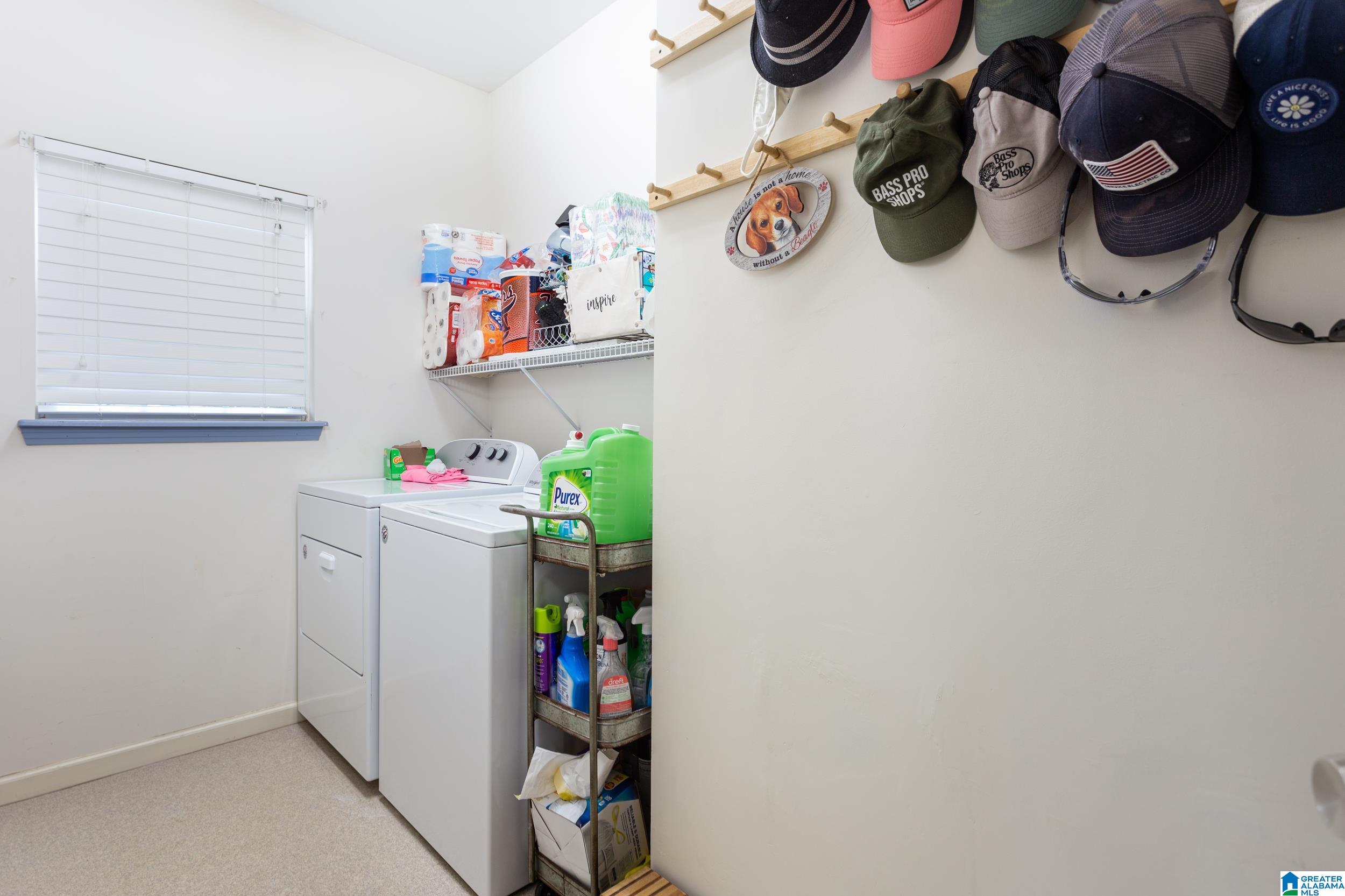 125 Homebrew Knob Ragland, AL 35131 - Photo 13 of 42