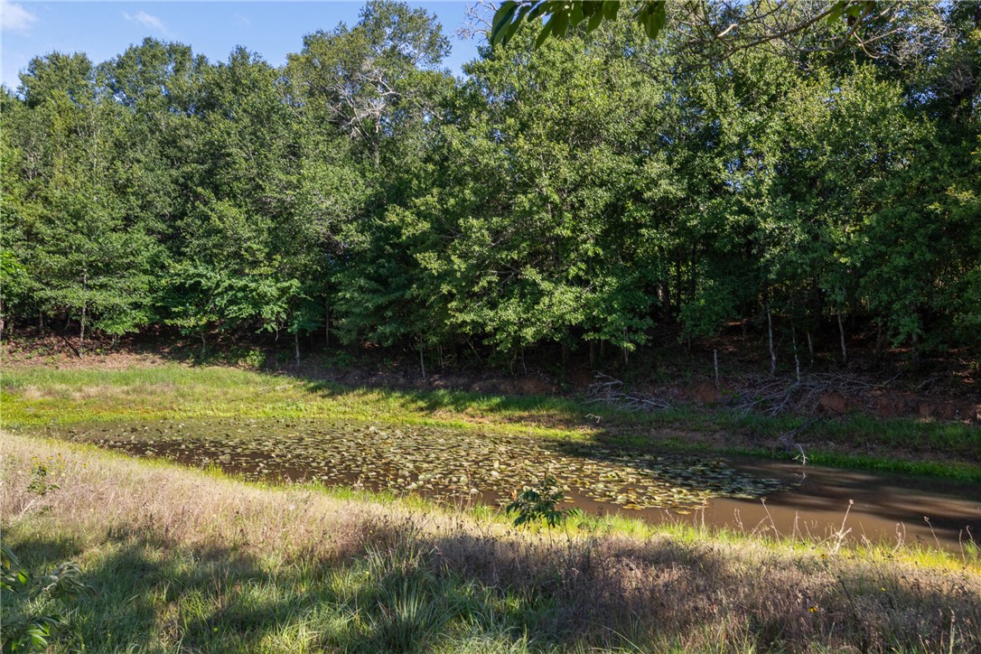 871 Cazey Loop Franklin, TX 77856 - Photo 36 of 42 a view of lake background with house