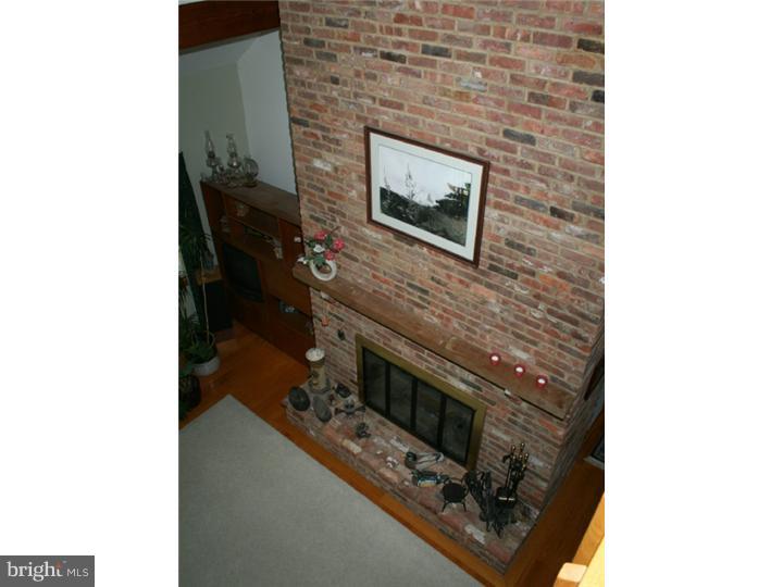 209 Buck Toe Hills Road Kennett Square, PA 19348 - Photo 10 of 11 Fireplace