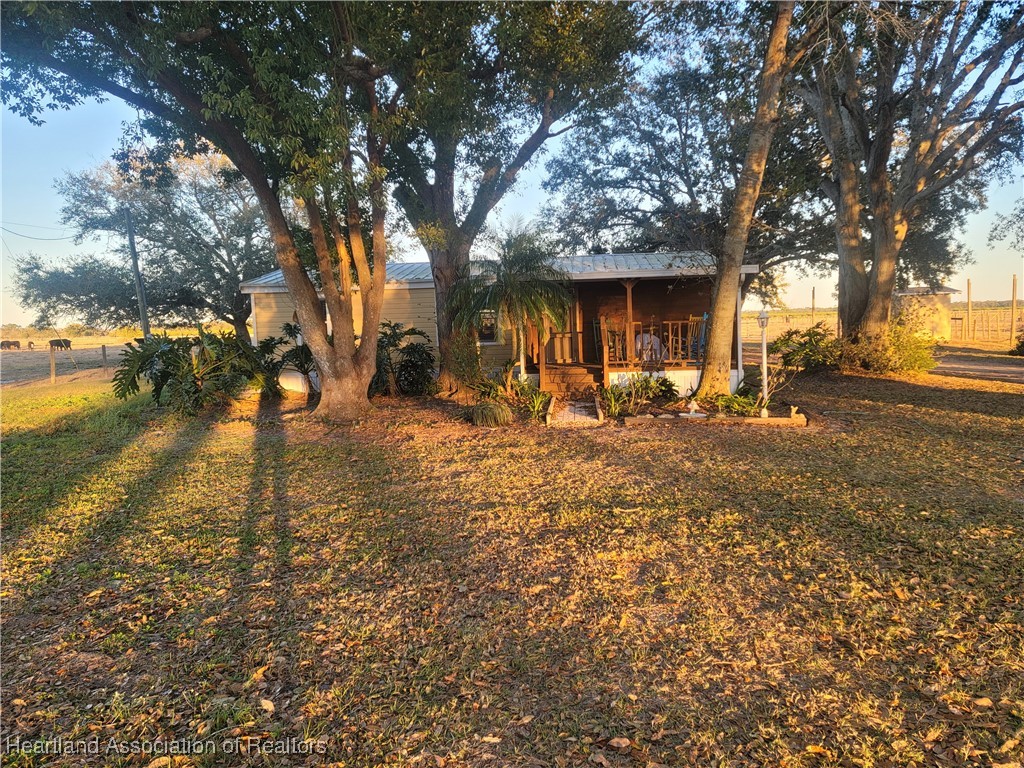 a row of trees and outdoor space of a house