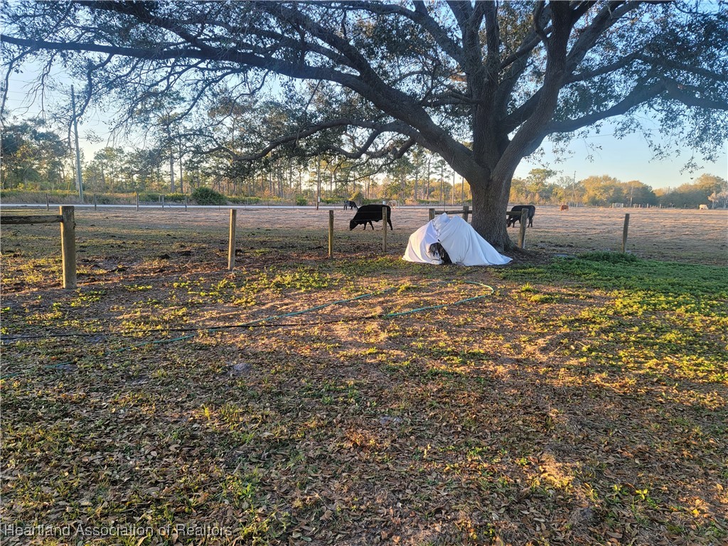 101 Bereah Road East Fort Meade, FL 33841 - Photo 5 of 7 a view of backyard with tree