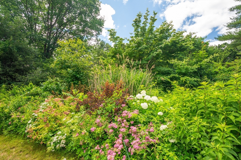 95 Tower Road Lincoln, MA 01773 - Photo 38 of 41 a view of a lush green forest