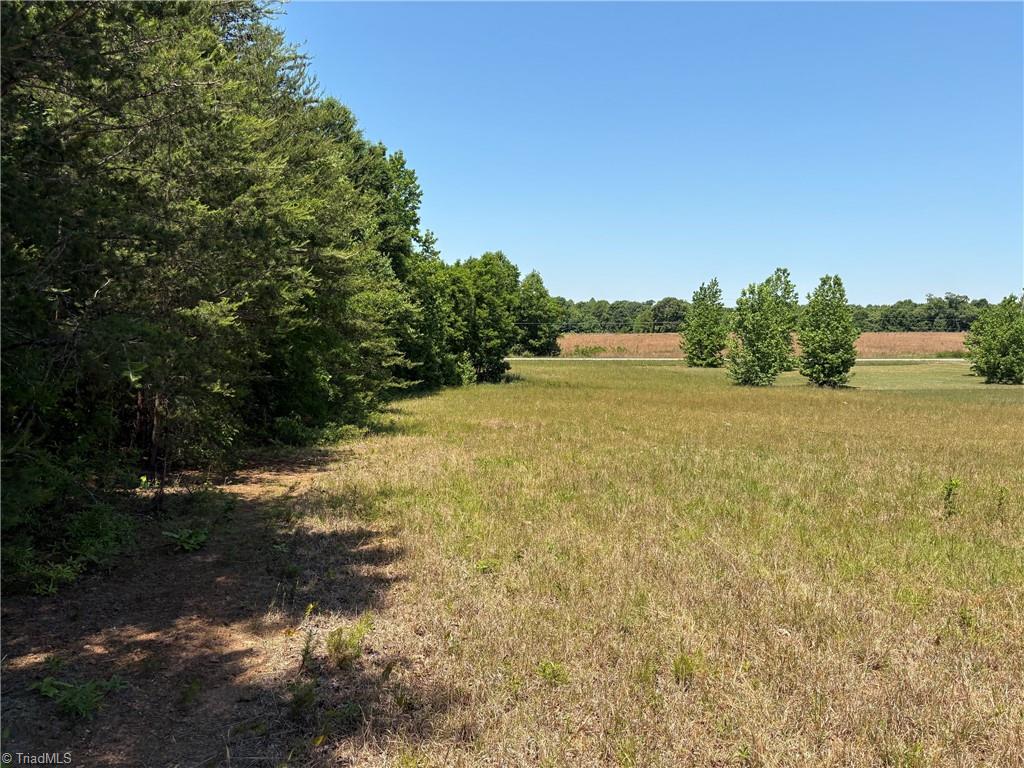 0 Witty Road Summerfield, NC 27358 - Photo 17 of 21
