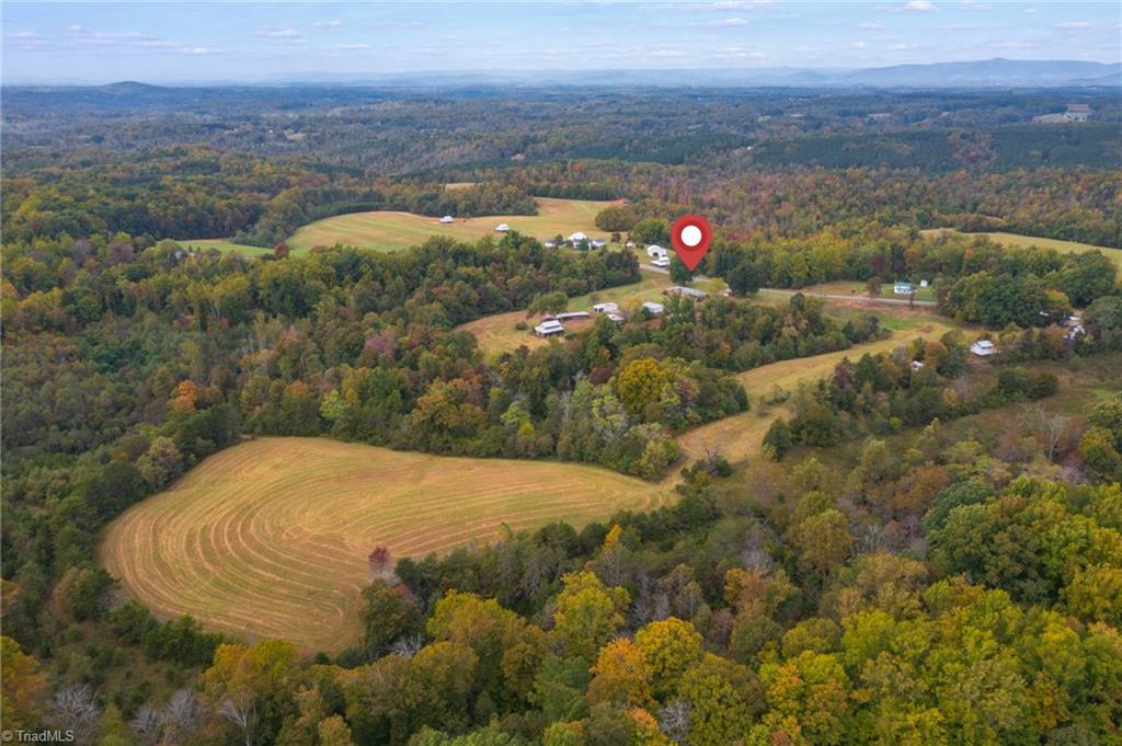 1361 Delta Church Road Sandy Ridge, NC 27046 - Photo 41 of 47