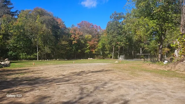 a view of a yard with a trees