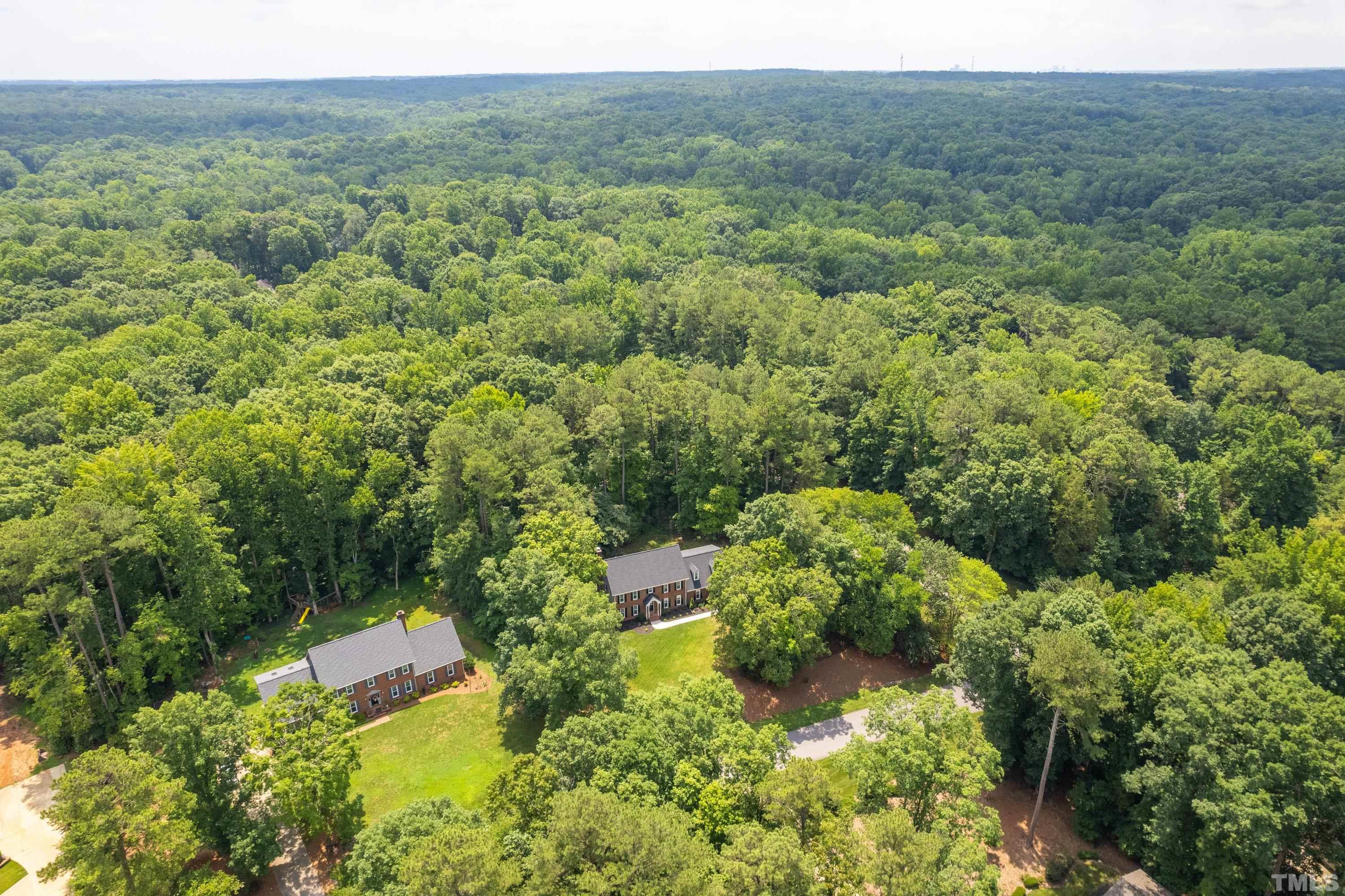 2013 Countrywood Road North Raleigh, NC 27615 - Photo 61 of 73 a view of a forest with a street