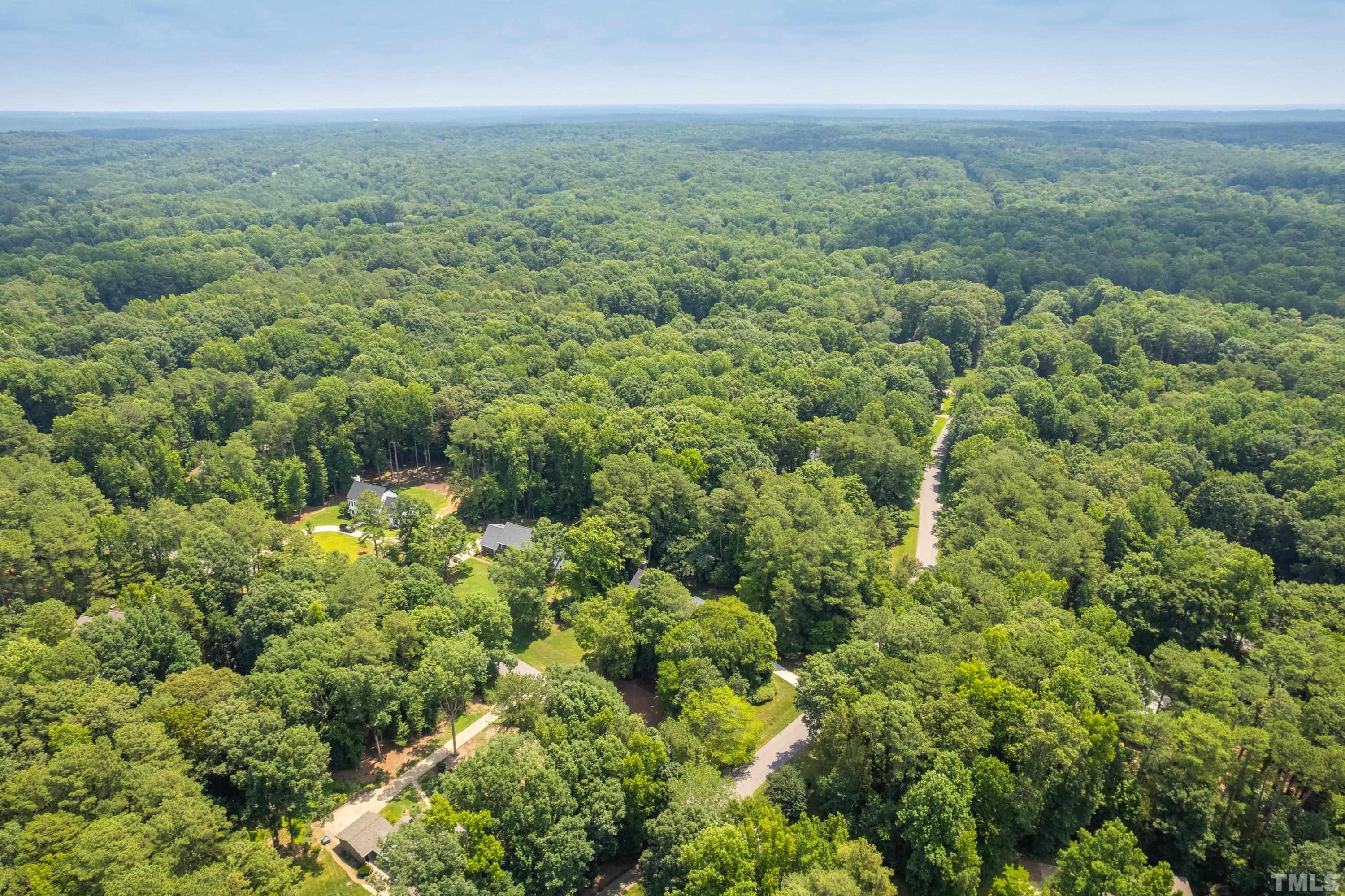 2013 Countrywood Road North Raleigh, NC 27615 - Photo 73 of 73 an aerial view of residential houses with outdoor space and trees