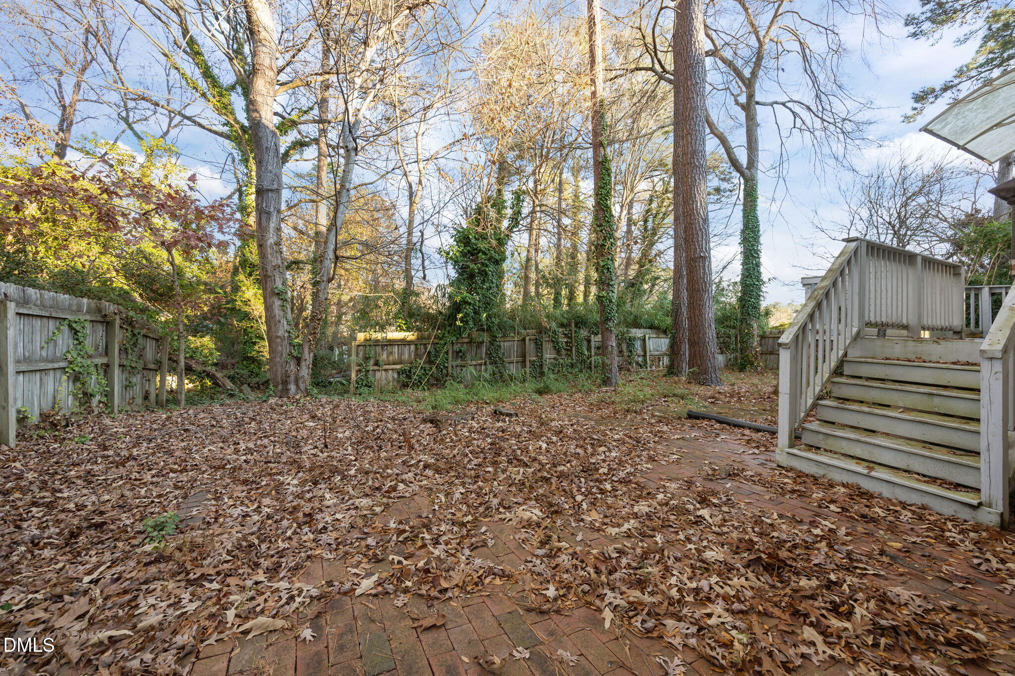 4700 Tolley Court Raleigh, NC 27616 - Photo 36 of 37 a view of a yard with plants and trees