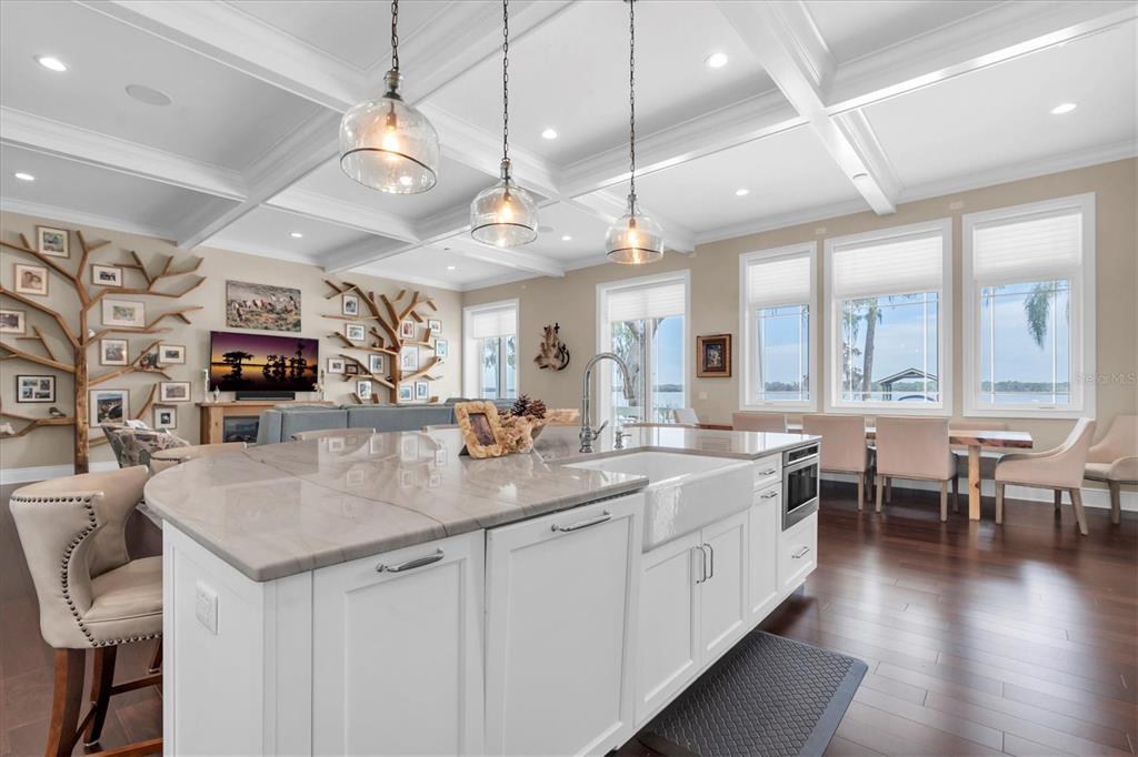 4650 Ridgeview Road Palm Harbor, FL 34684 - Photo 20 of 100 a large kitchen with lots of counter space a sink appliances and living room view