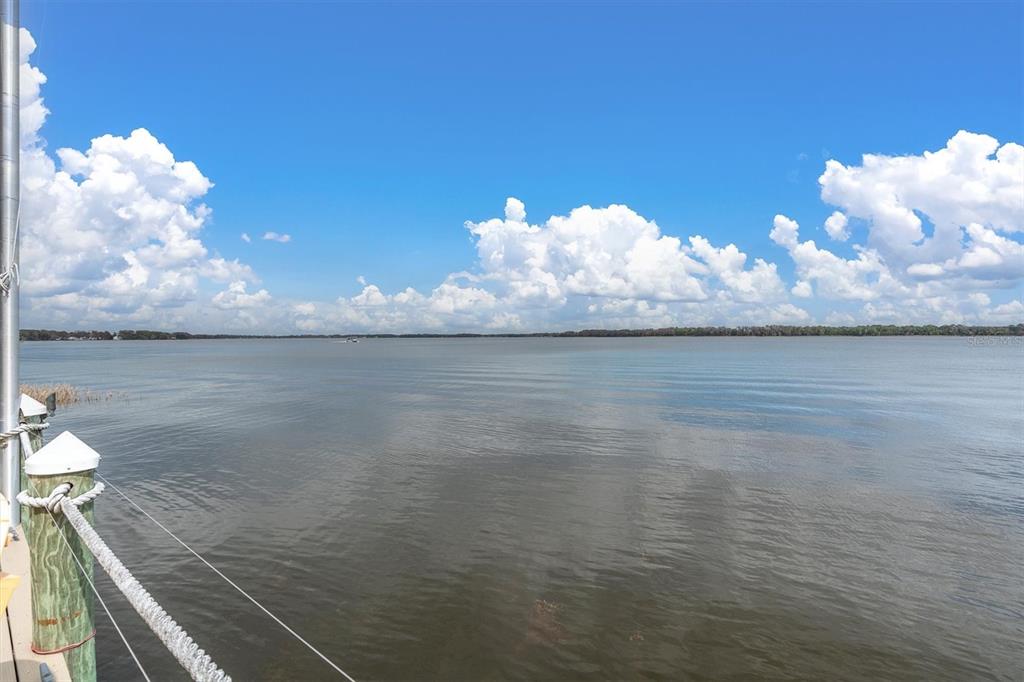 4650 Ridgeview Road Palm Harbor, FL 34684 - Photo 94 of 100