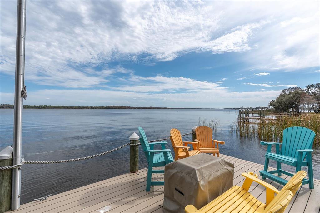 4650 Ridgeview Road Palm Harbor, FL 34684 - Photo 95 of 100 a terrace view with sitting space and garden