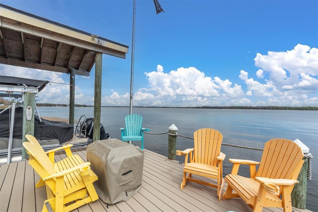 4650 Ridgeview Road Palm Harbor, FL 34684 - Photo 96 of 100