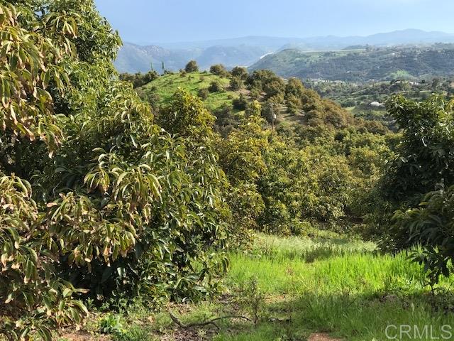 3894 East Mission Road Fallbrook, CA 92028 - Photo 15 of 20