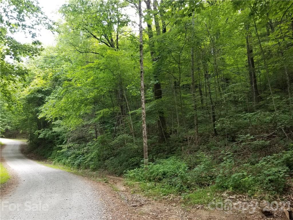 340 Melrose Mountain Road Tryon, NC 28782 - Photo 1 of 36 a view of a forest with a tree