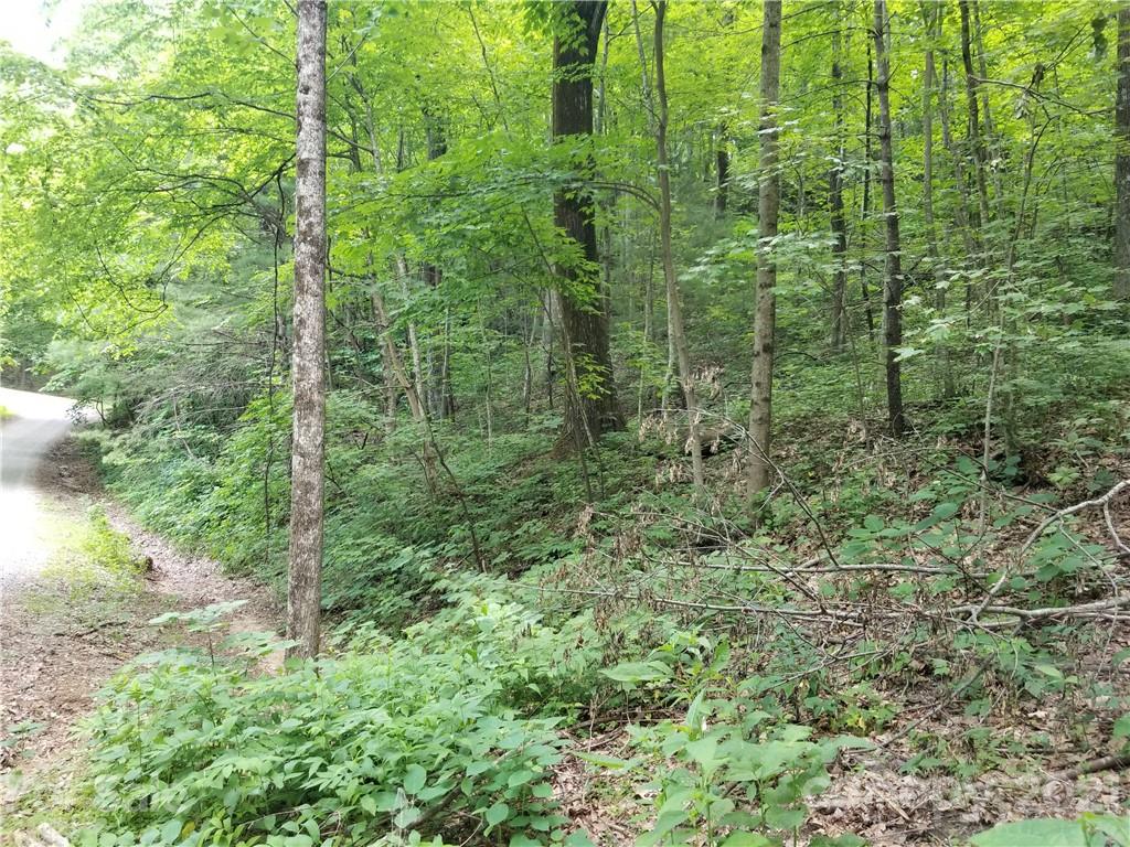 340 Melrose Mountain Road Tryon, NC 28782 - Photo 11 of 36 a view of a forest from a building