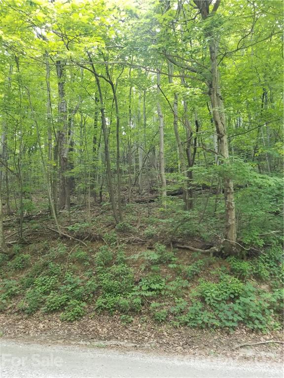 340 Melrose Mountain Road Tryon, NC 28782 - Photo 14 of 36 a view of a forest with trees