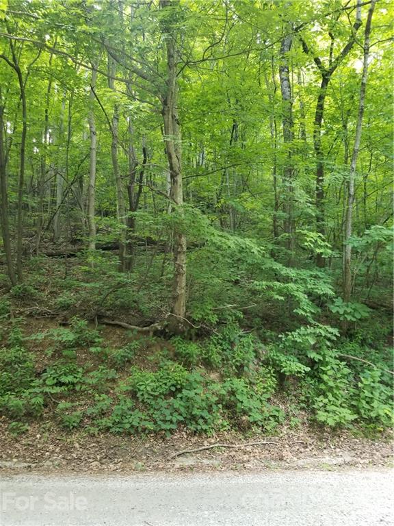 340 Melrose Mountain Road Tryon, NC 28782 - Photo 15 of 36 a view of a lush green forest