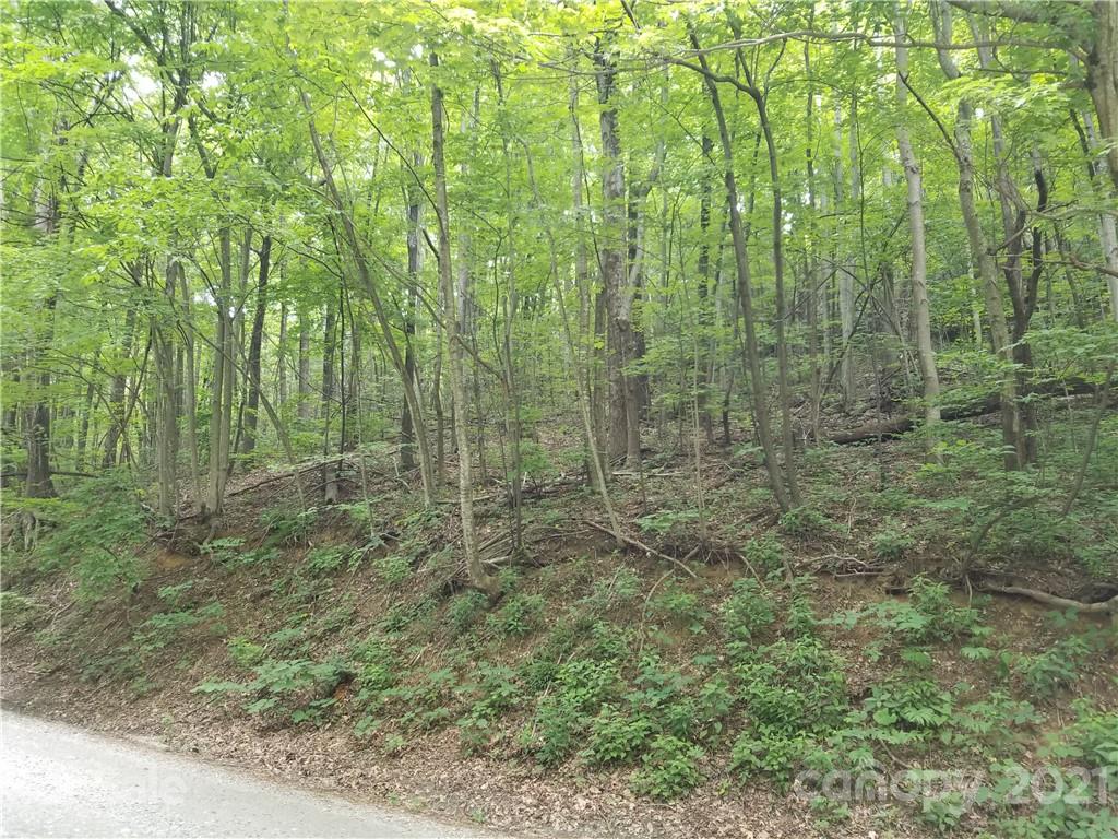 340 Melrose Mountain Road Tryon, NC 28782 - Photo 16 of 36 a view of a yard with a trees