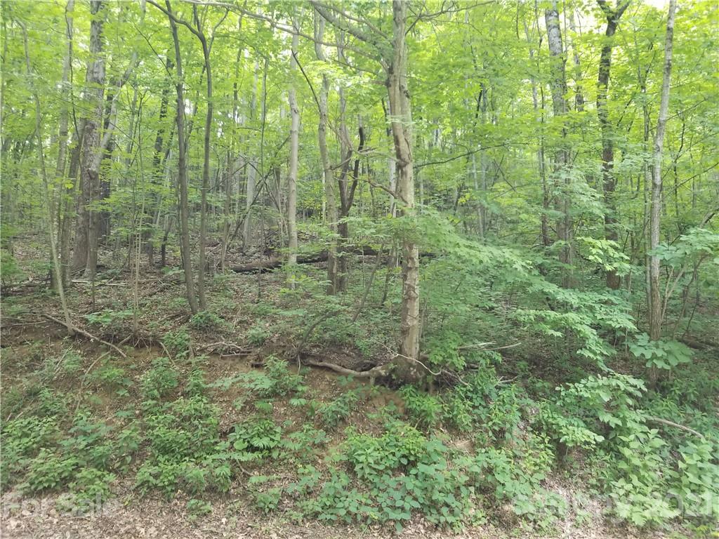 340 Melrose Mountain Road Tryon, NC 28782 - Photo 17 of 36 a view of a green field