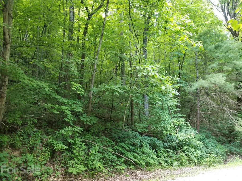 340 Melrose Mountain Road Tryon, NC 28782 - Photo 18 of 36 a view of a lush green forest