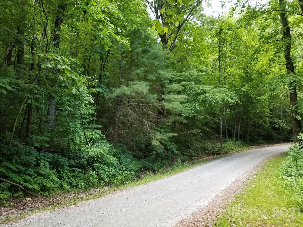 340 Melrose Mountain Road Tryon, NC 28782 - Photo 19 of 36 a view of a street view