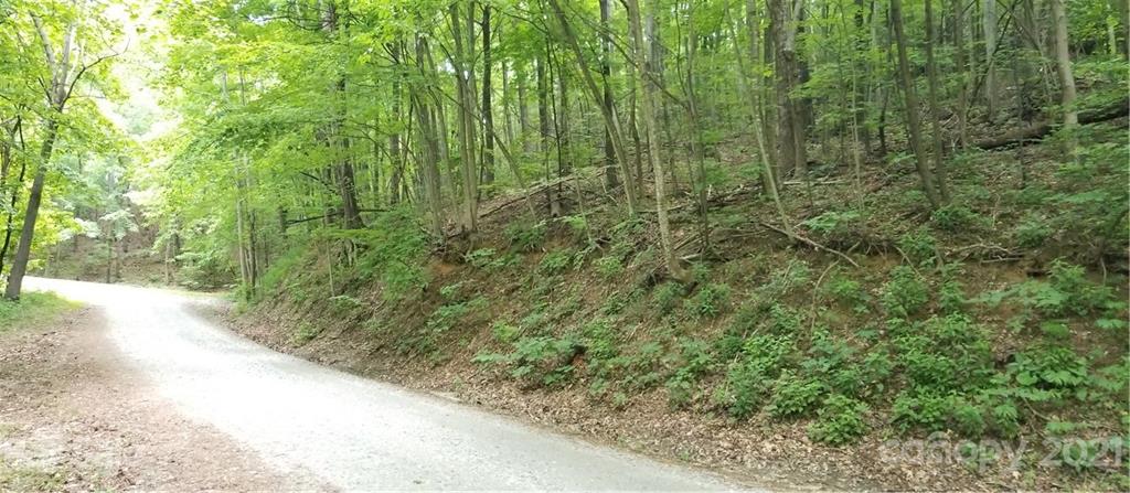 340 Melrose Mountain Road Tryon, NC 28782 - Photo 23 of 36 a view of a garden with a pathway