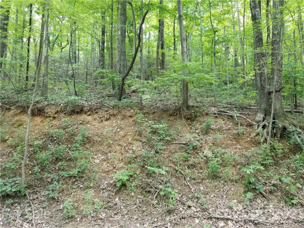 340 Melrose Mountain Road Tryon, NC 28782 - Photo 24 of 36 a view of a green field with lots of bushes