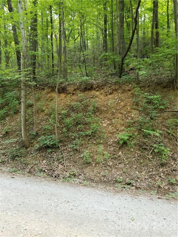 340 Melrose Mountain Road Tryon, NC 28782 - Photo 26 of 36 a view of a forest with trees