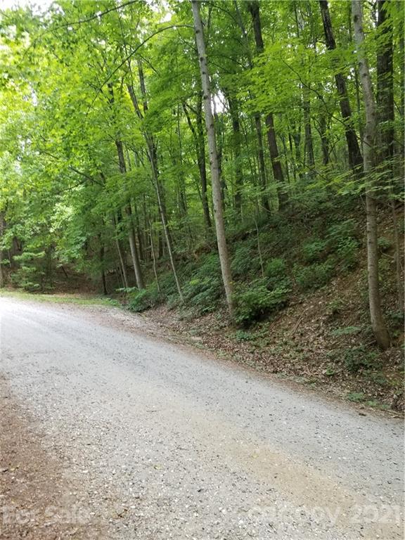 340 Melrose Mountain Road Tryon, NC 28782 - Photo 27 of 36