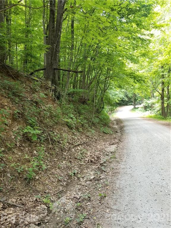 340 Melrose Mountain Road Tryon, NC 28782 - Photo 28 of 36 a view of a yard with plants and large trees