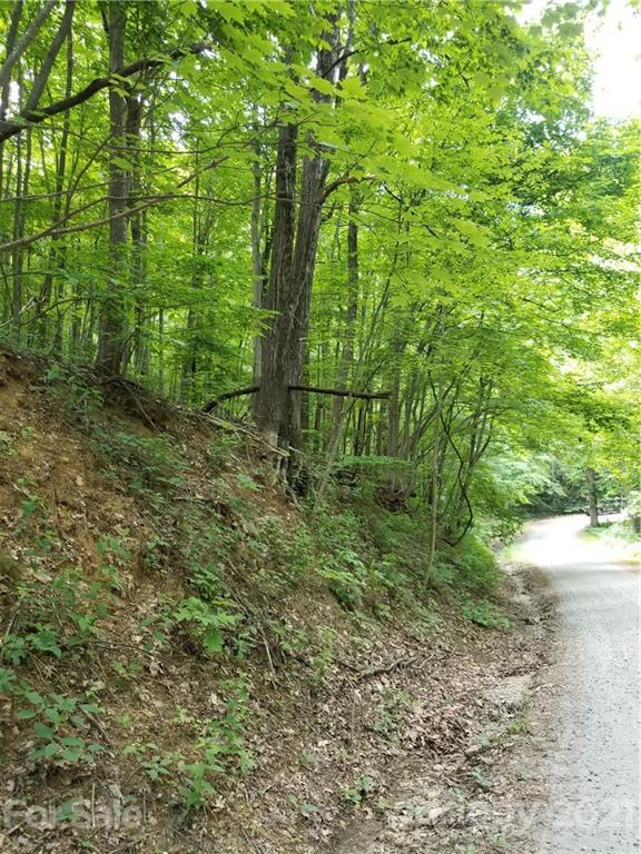 340 Melrose Mountain Road Tryon, NC 28782 - Photo 29 of 36 a view of a yard with lots of trees