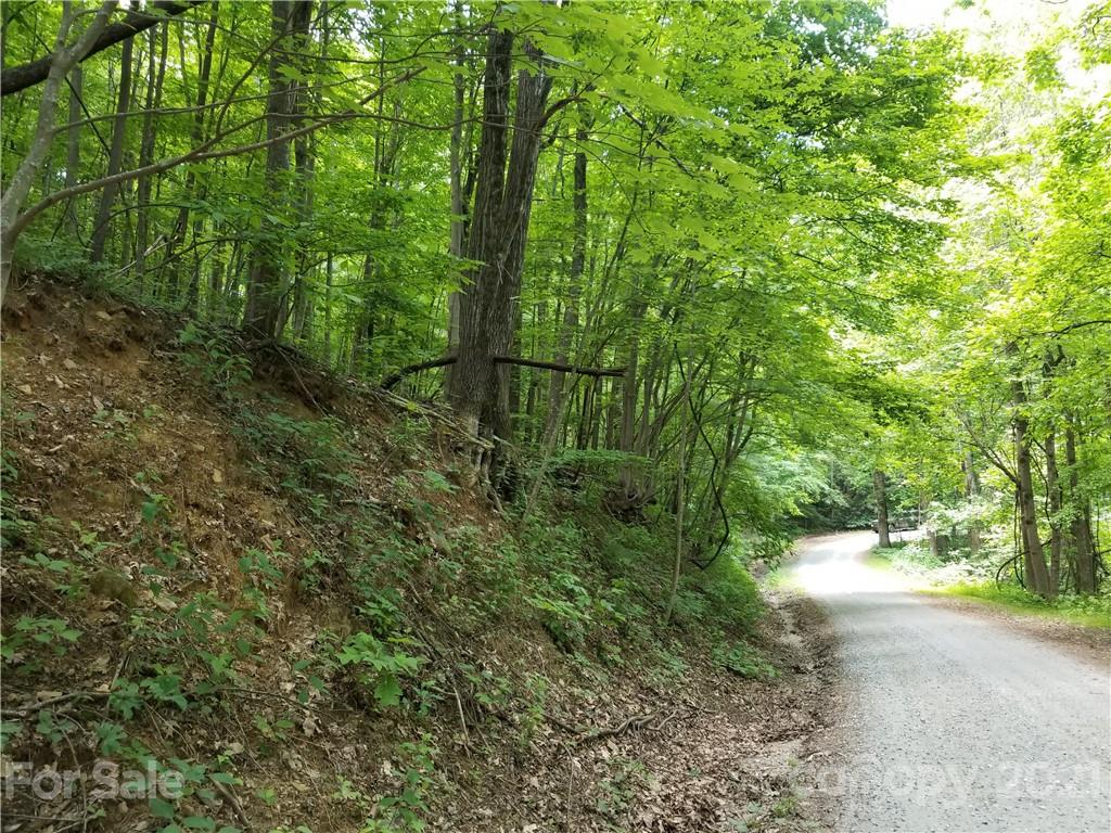 340 Melrose Mountain Road Tryon, NC 28782 - Photo 30 of 36 a view of a yard with plants and a large trees