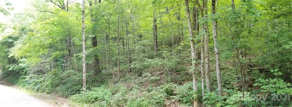 340 Melrose Mountain Road Tryon, NC 28782 - Photo 4 of 36 a view of a lush green forest