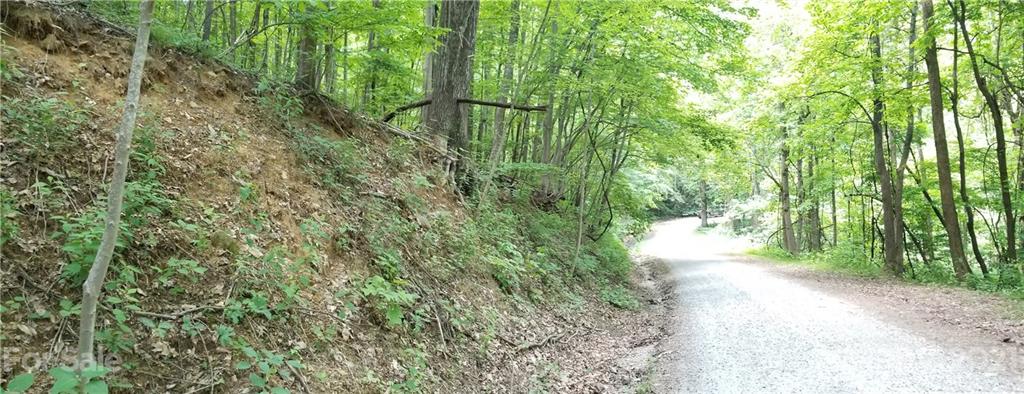 340 Melrose Mountain Road Tryon, NC 28782 - Photo 32 of 36 a view of a yard with large trees