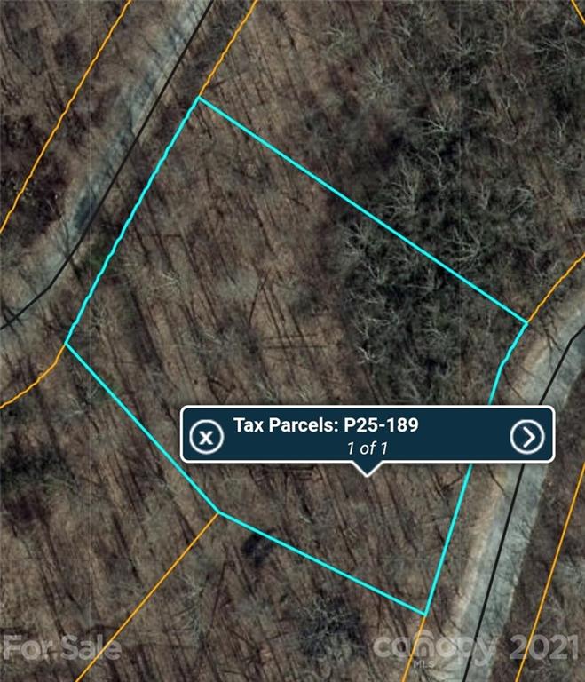 340 Melrose Mountain Road Tryon, NC 28782 - Photo 35 of 36 a view of a street