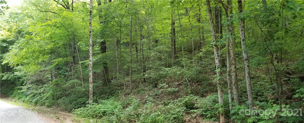 340 Melrose Mountain Road Tryon, NC 28782 - Photo 5 of 36 a view of a lush green forest
