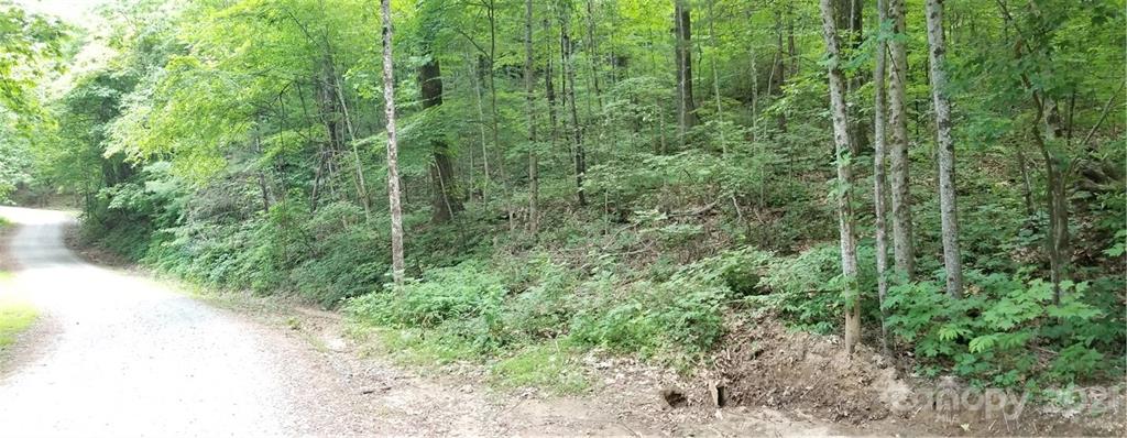 340 Melrose Mountain Road Tryon, NC 28782 - Photo 6 of 36 a view of a lush green forest