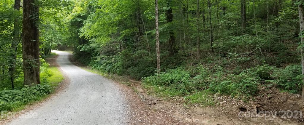 340 Melrose Mountain Road Tryon, NC 28782 - Photo 8 of 36 a view of a forest with trees in front of it
